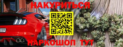 гидропоника Кингисепп