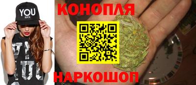 бошки Кимры