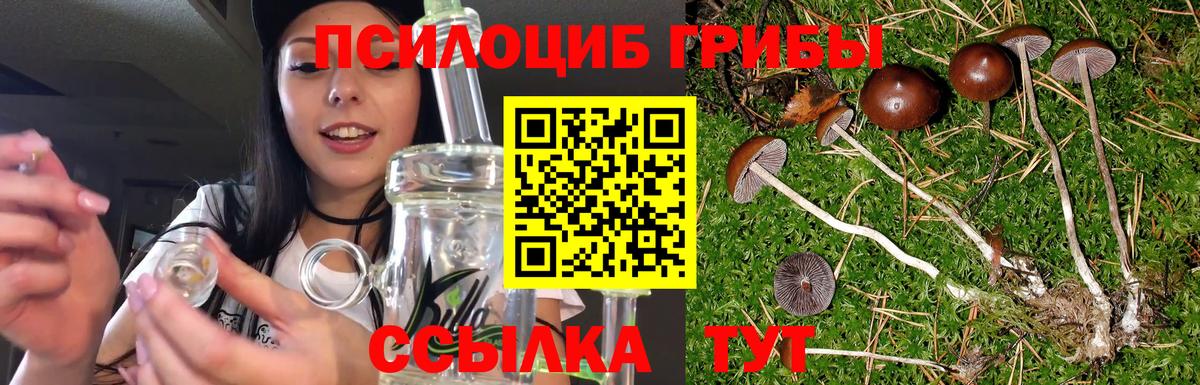 Галлюциногенные грибы мицелий  Галлюциногенные грибы мухоморы  Кыштым  Вход с VPN 