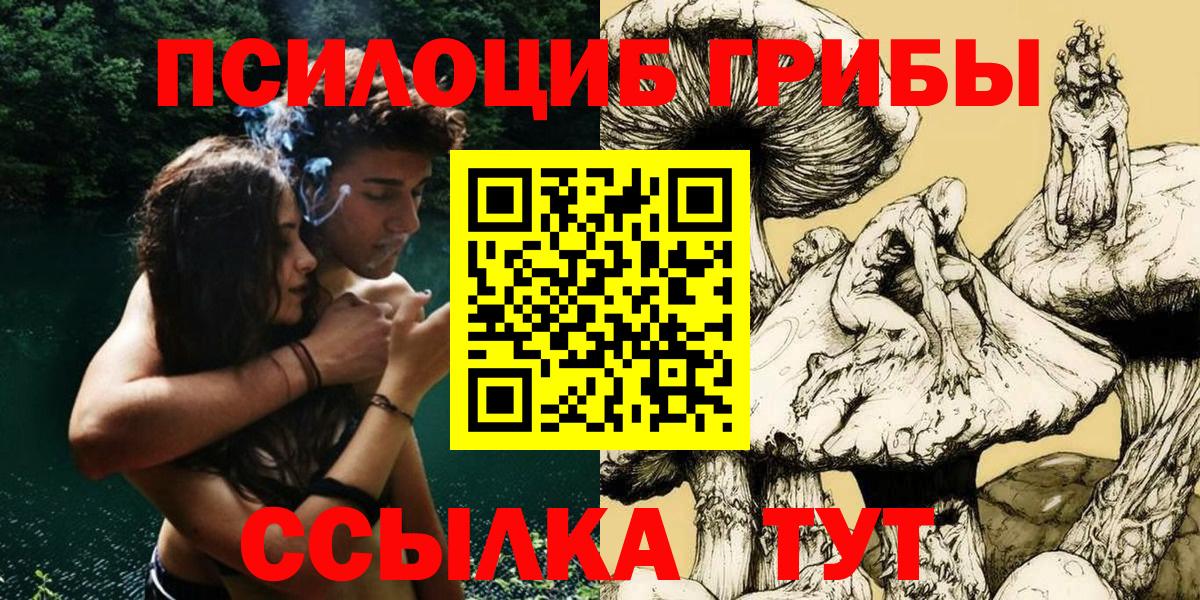 Галлюциногенные грибы Psilocybine cubensis Кыштым